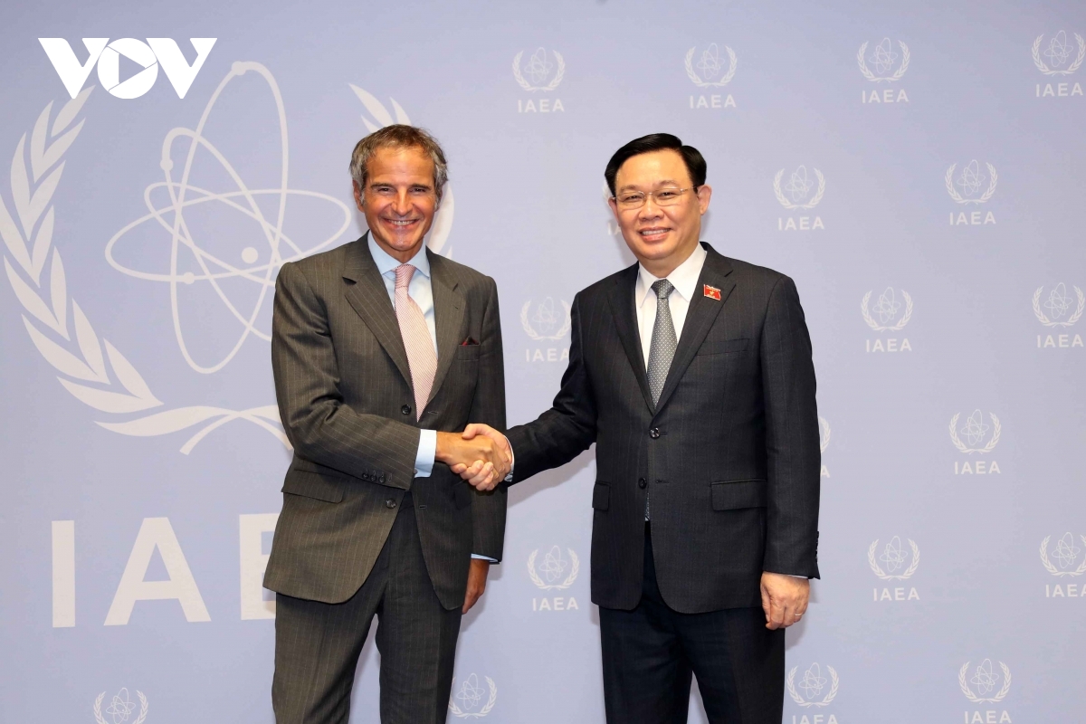 Vietnam desires IAEA's support in nuclear tech application to COVID-19 fight